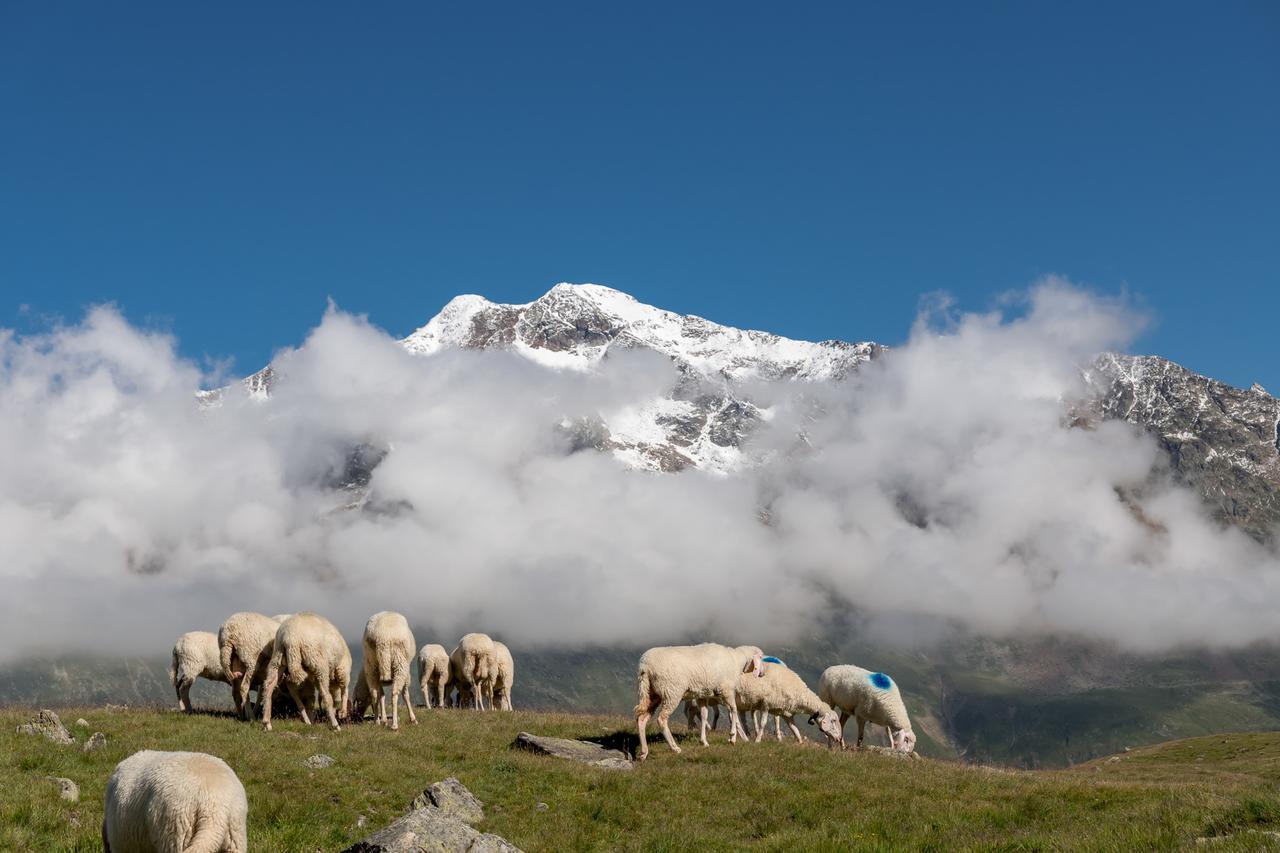 Natur-&Alpinhotel Post フェント エクステリア 写真